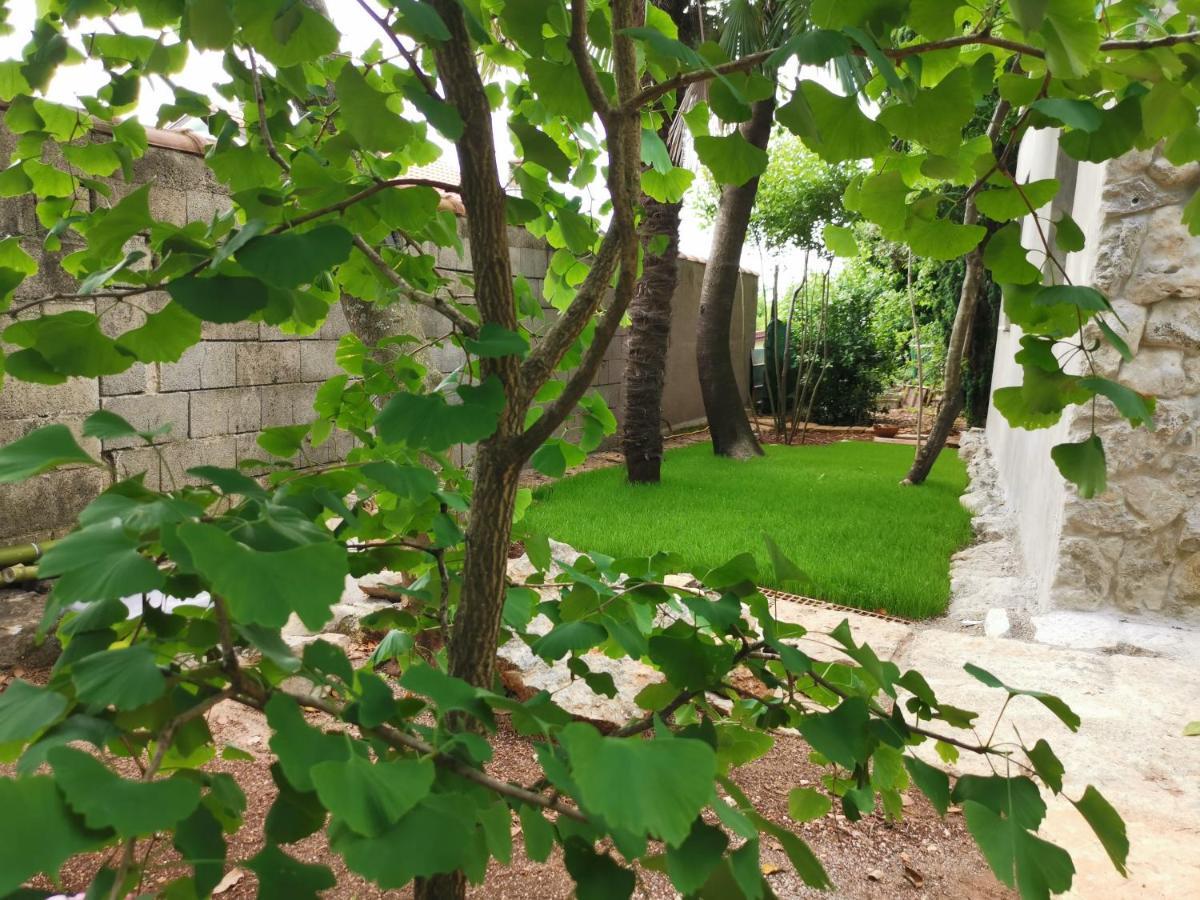 Ginko House Apartamento Opatija Exterior foto