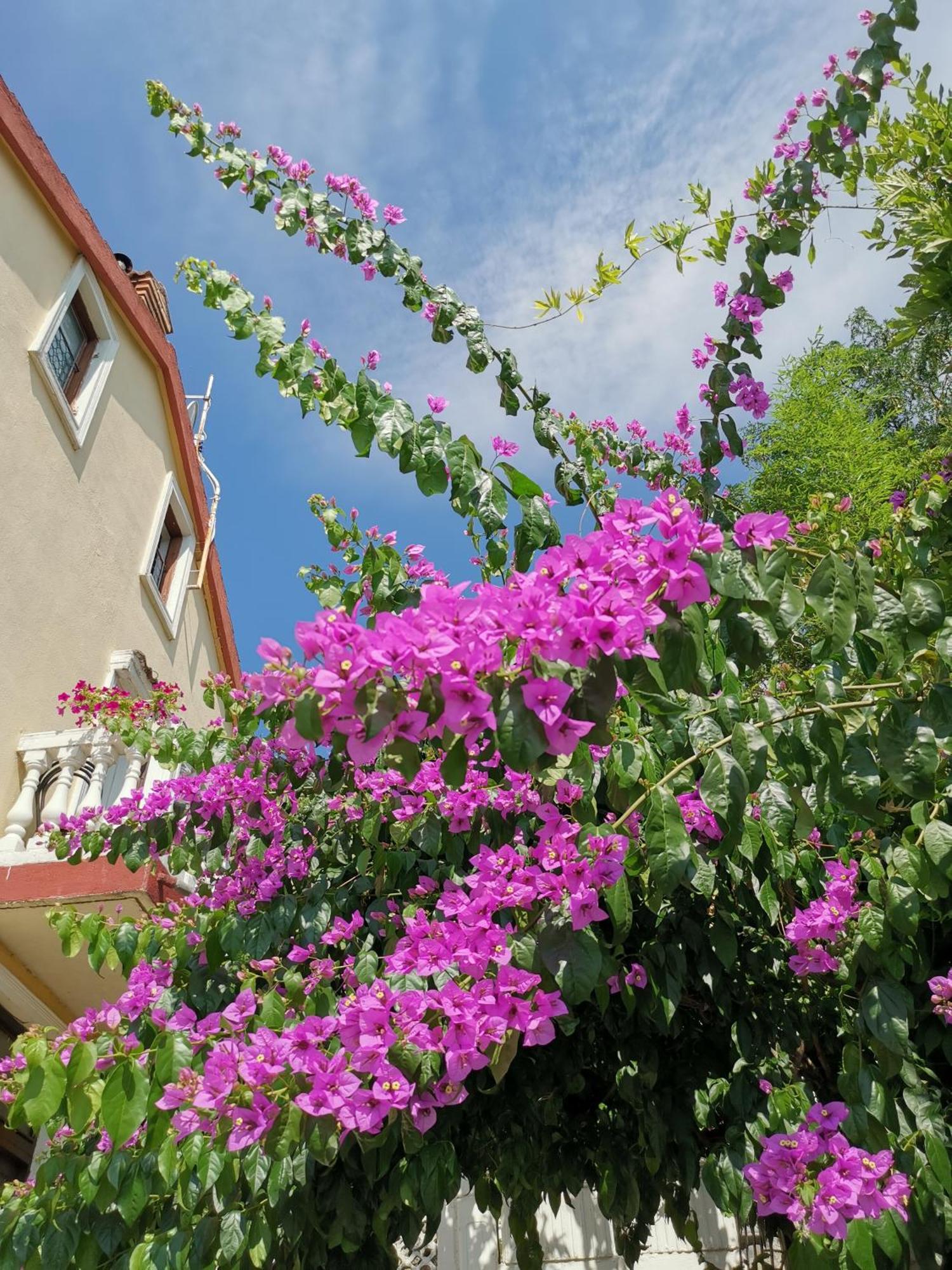 Ginko House Apartamento Opatija Exterior foto